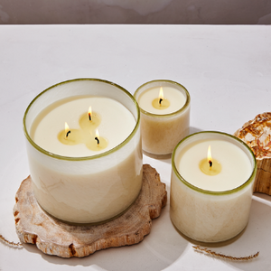 Feu de Bois 15.5 oz - Fragranced Candle